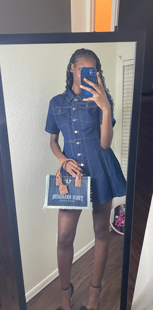 Denim Button-Up Mini Dress